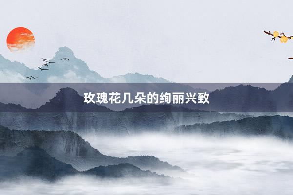 玫瑰花几朵的绚丽兴致