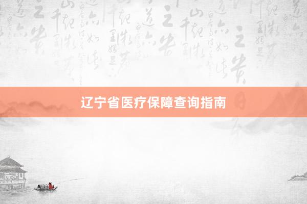 辽宁省医疗保障查询指南