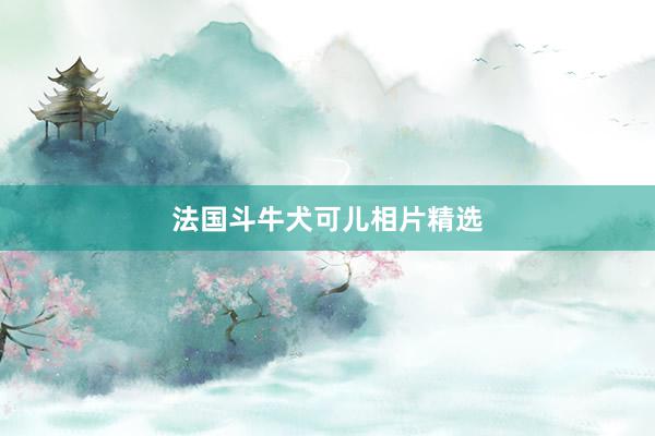 法国斗牛犬可儿相片精选