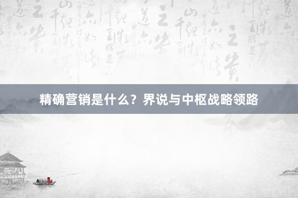 精确营销是什么？界说与中枢战略领路